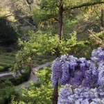 ilMirino – giardino botanico di Brerarto-botanico-di-Brera_h_partb