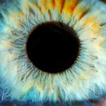 AB521B blue eye close up macro foto eye wide open see light sight inside body