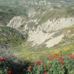 07 I Calanchi di Pisticci