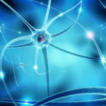 nerve cells in human neural system, 3d illustration