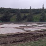 02 Particolare della vasca oggi in manutenzione
