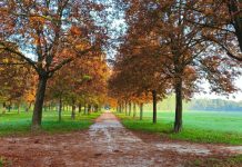Ritornano le visite guidate nei parchi cittadini con le GEV